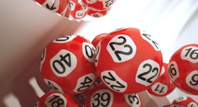 Bach-thu-lo-khung-3-ngay-2